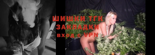 ПСИЛОЦИБИНОВЫЕ ГРИБЫ Богданович