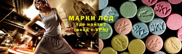ПСИЛОЦИБИНОВЫЕ ГРИБЫ Богданович